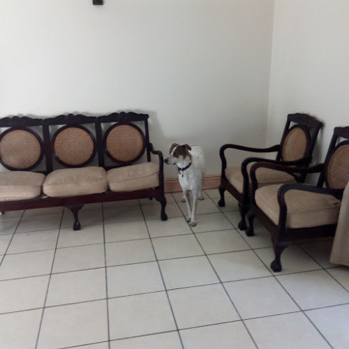 Chairs, Stools & Footstools Imbuia (brazilian walnut) lounge suite